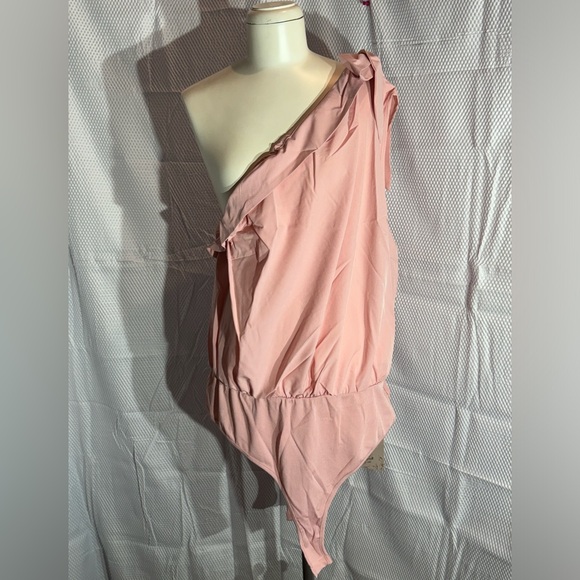 Emery rose from SHEIN plus size pink bodysuit - Picture 1 of 6